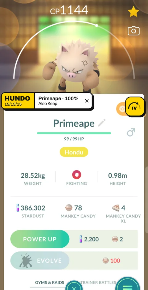 Pokémon GO with the IV Lens chip showing a verdict over the Pokémon